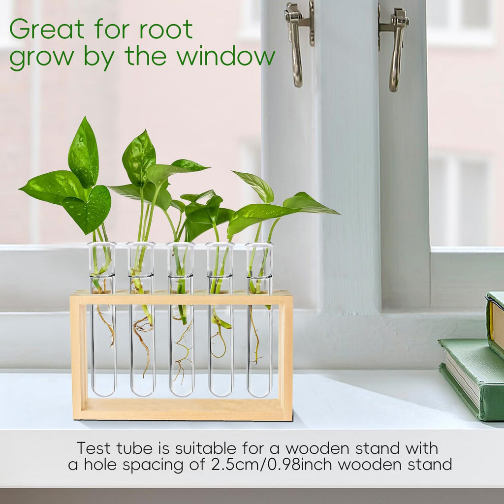 Worldity 15Pcs Clear Test Tubes for Plant, 20ml Plant Propagation Tube with Brush, Plastic Test Tubes for Hydroponic Plants, Flowers, Home Office Wall Decor (12cm), Transparent