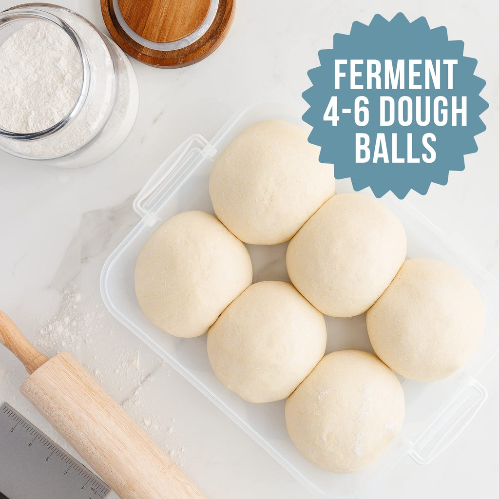 Chef Pomodoro Pizza Dough Proofing Box, Pizza Dough Container, Household Pizza Dough Tray With Convenient Carry Handle (Blue)