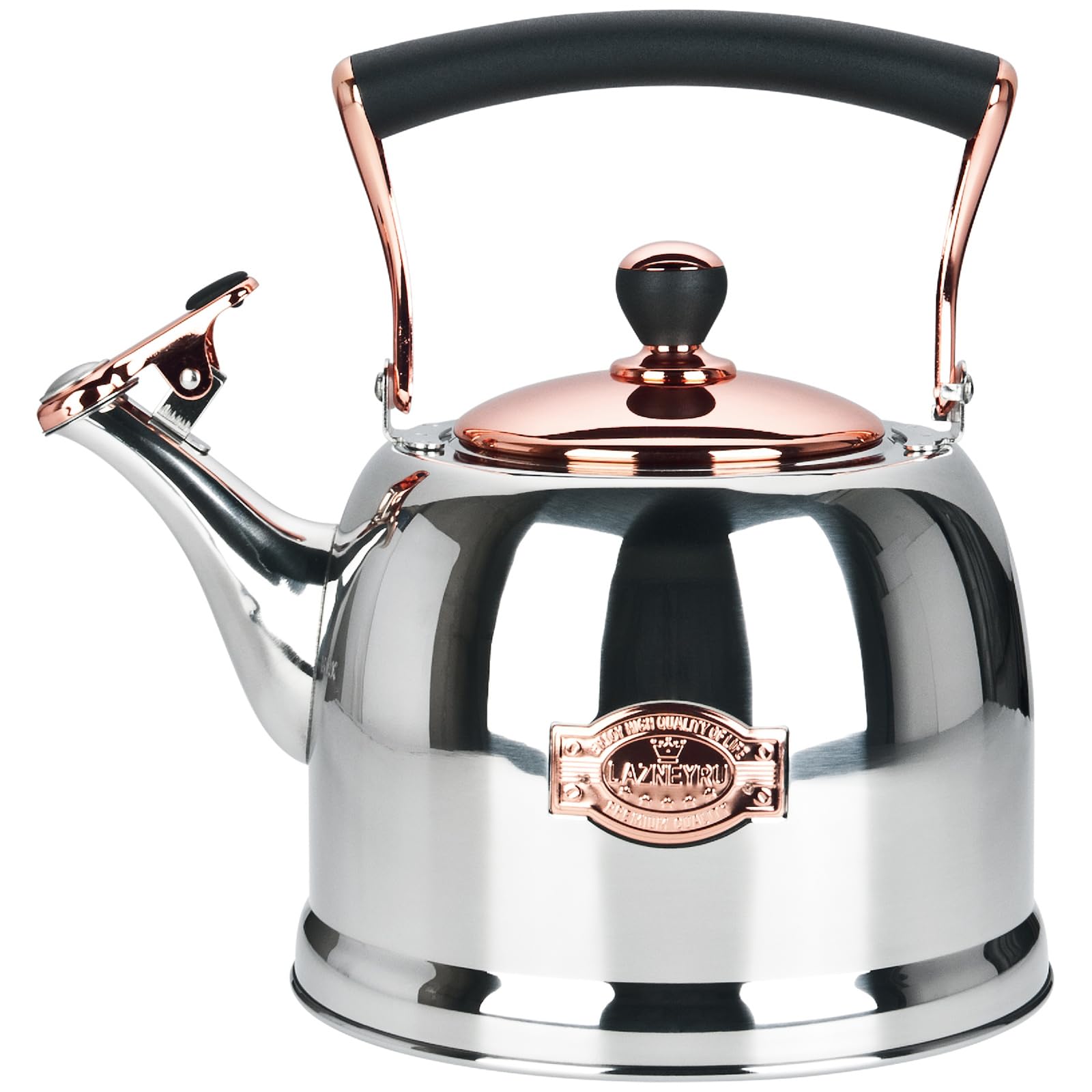 Tea Kettle Stainless Steel Teapot, Stainless Steel Teakettle for Stove Top with Heat Proof Ergonomic Handle 3.0 Quart