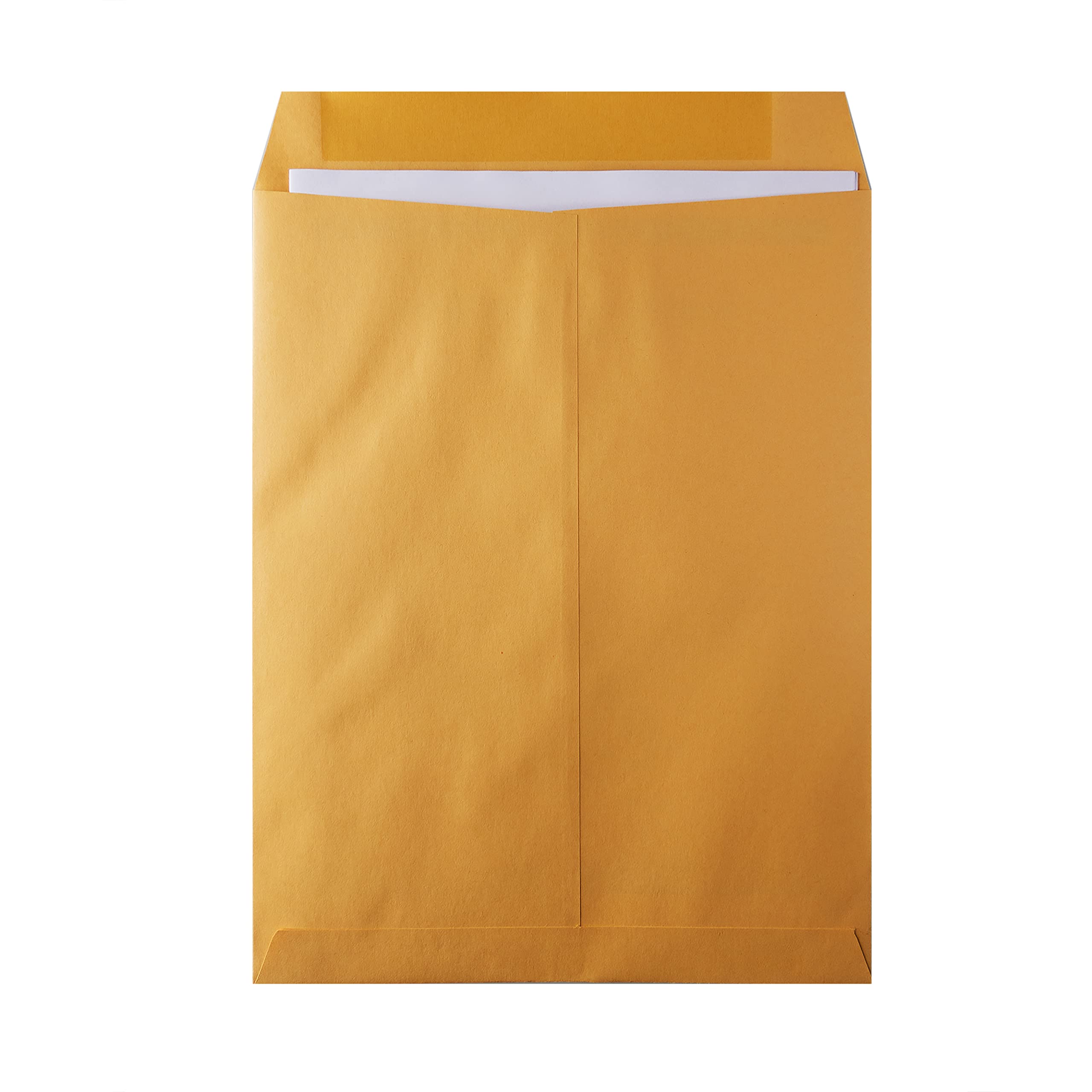 Hilroy Kraft Envelopes, 9" x 12", 100-Count, Gummed Flap (76146)