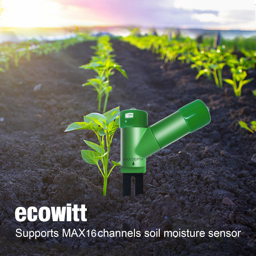 ECOWITT WH51 Soil Moisture Sensor Soil Humidity Tester - Accessory Only, Can Not Be Used Alone