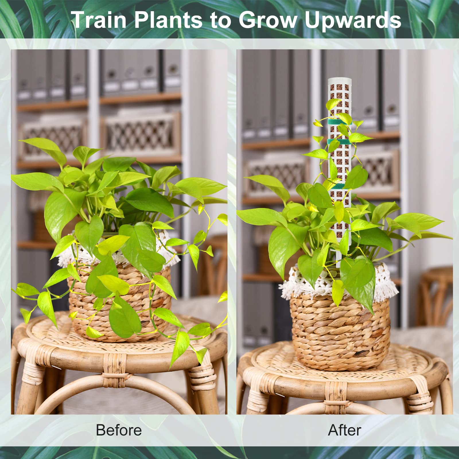Welltop Moss Pole, 4Pcs Plastic Moss Pole for Plants Monstera 15Inch Stackable Plant Moss Sticks for Climbing Plants Grow Upwards Plant Support for Indoor Plants