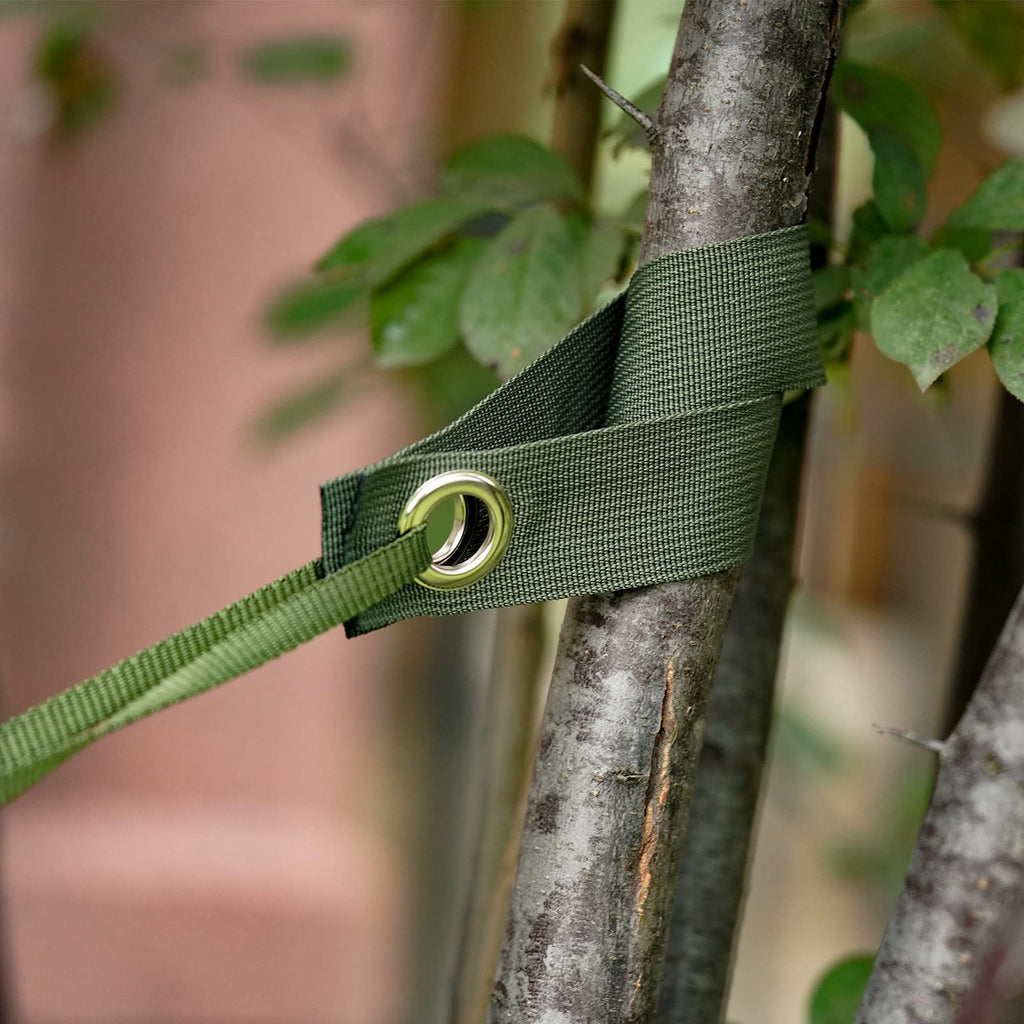 Shitailu Professional Tree Stake Kits for 2 Trees- 6pcs 15.7 Inch Tree Straps + 65.6 Feet Strong Rope for Plant Fix Straight Healthy Growth,Green