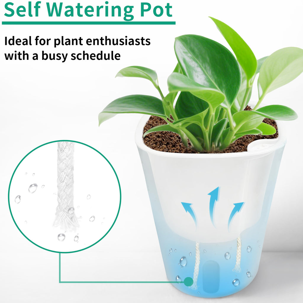 10 Pack 3 inch Self Watering Pots for Indoor Plants, Small Self Watering Plant Pots with Water Level Indicator and Multiple Vents, Self Watering Planters for Indoor Plants, Orchid, Succulent, Herbs