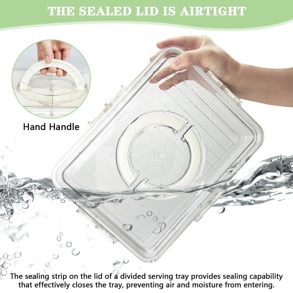 Artcome Sealed Divided Serving Tray with Handle, 8 Compartments, & Carry Bag - Ideal for Organizing and Carrying Snacks and Appetizers - Perfect for Outdoor Dining, Picnics, BBQs, Gatherings & Leisure