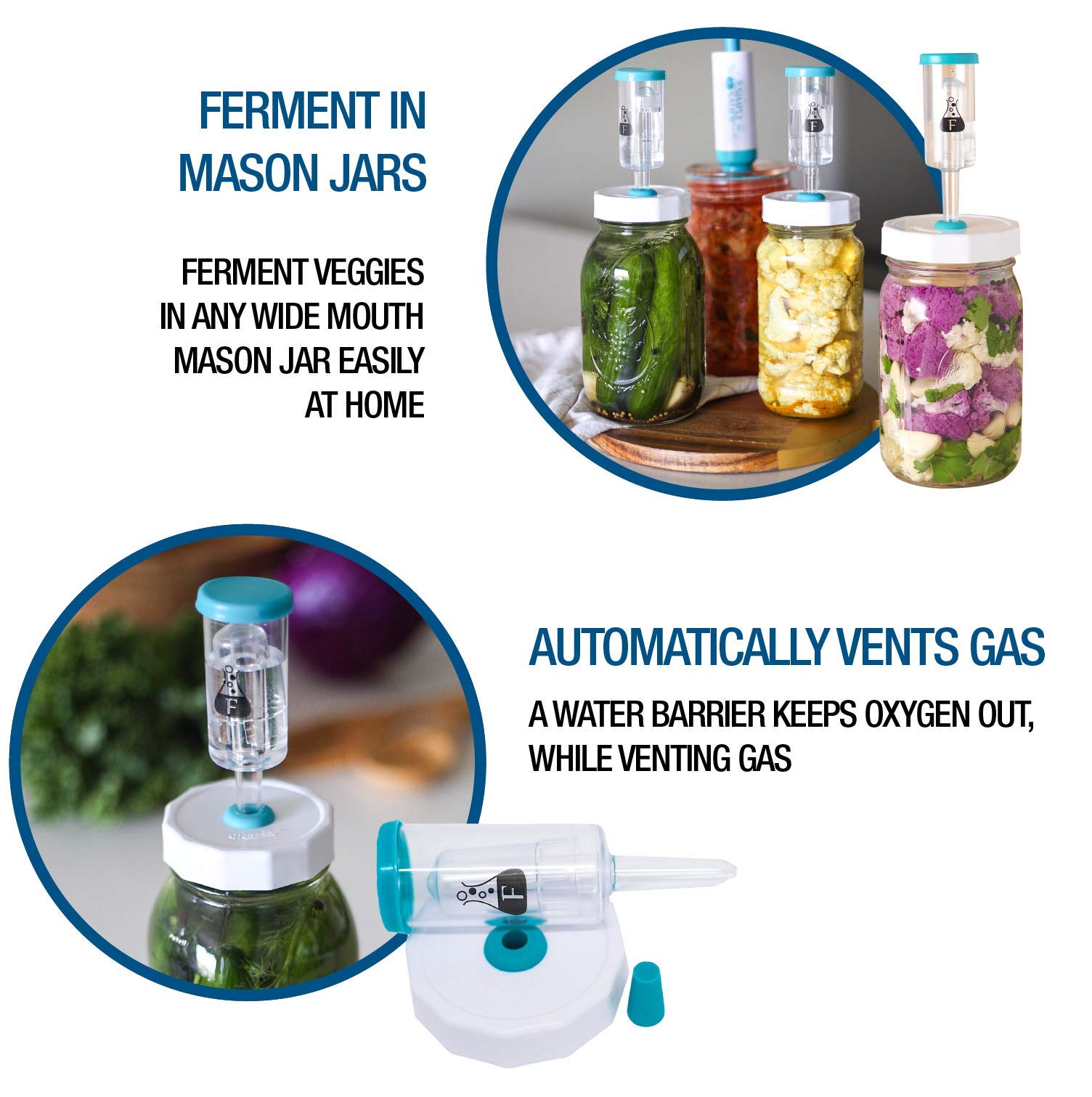 Fermentology Sauer System Fermentation Airlocks – Lids, Grommets, Gaskets, Stoppers – for Wide Mouth Mason Jars – 4 Pack