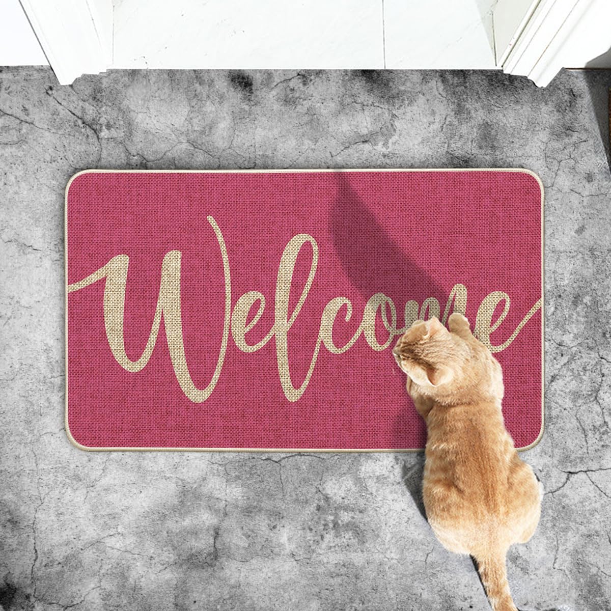 Artoid Mode Pink Welcome Spring Doormat, Summer Home Decor Low-Profile Switch Rug Door Mat Floor Mat for Indoor Outdoor 17x29 Inch