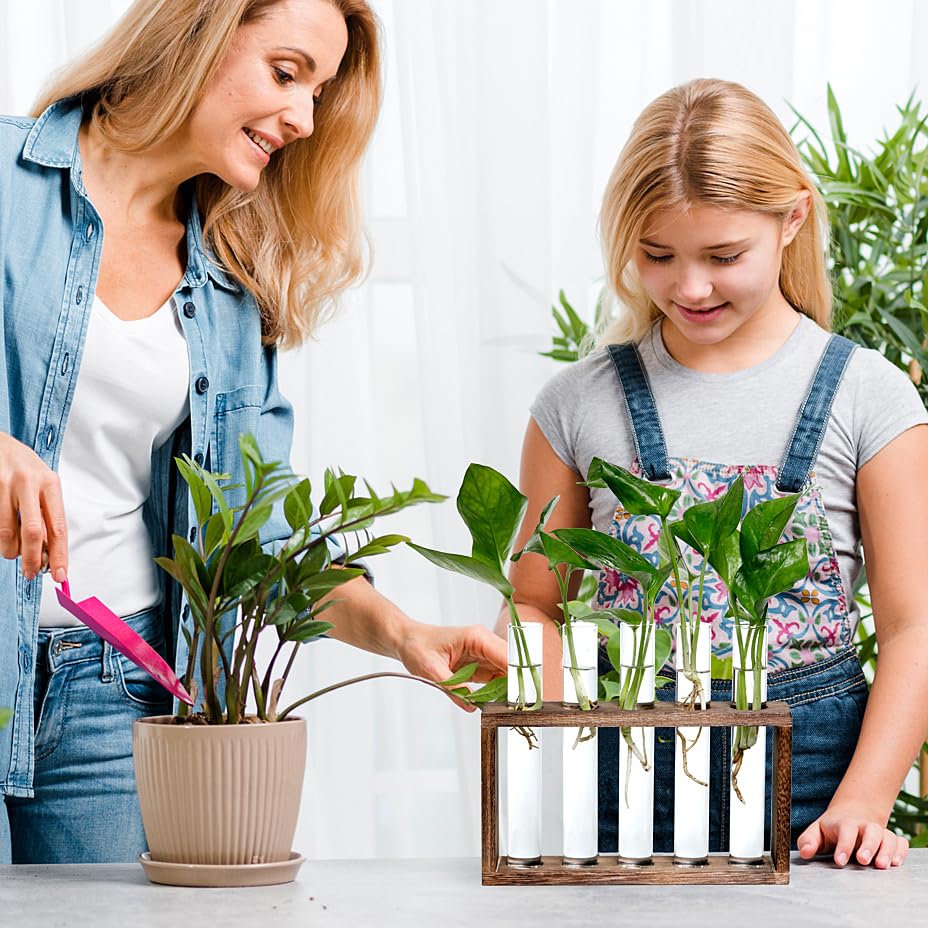 Decoration, Plant Propagation Station Decoration Maison Garden Decor, Indoor Home Office Desk Decor Plant Holder Flower Pot Gifts for Women Mom Best Friend Birthday Gifts 5 Planter Glass Vase