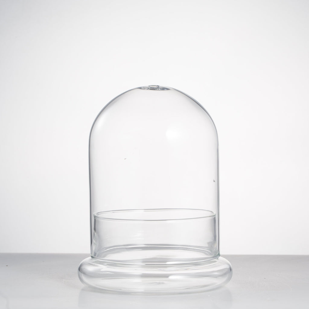 NCYP Small Clear Decorative Glass Terrarium Cloche with Air Hole - 12x12x16 cm Glass Dome with Base for Miniature Succulents - Display Storage (No Plants Included)