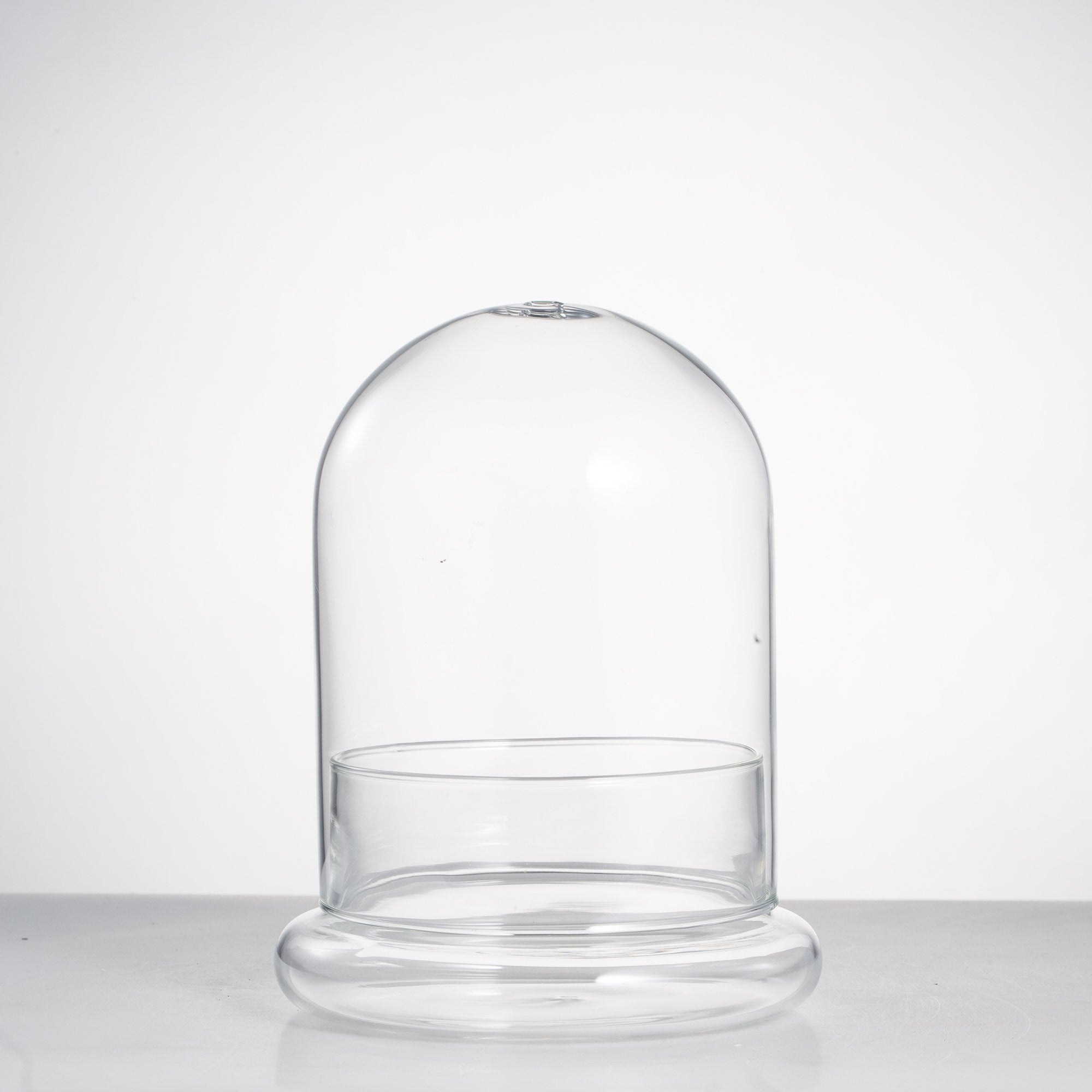 NCYP Small Clear Decorative Glass Terrarium Cloche with Air Hole - 12x12x16 cm Glass Dome with Base for Miniature Succulents - Display Storage (No Plants Included)