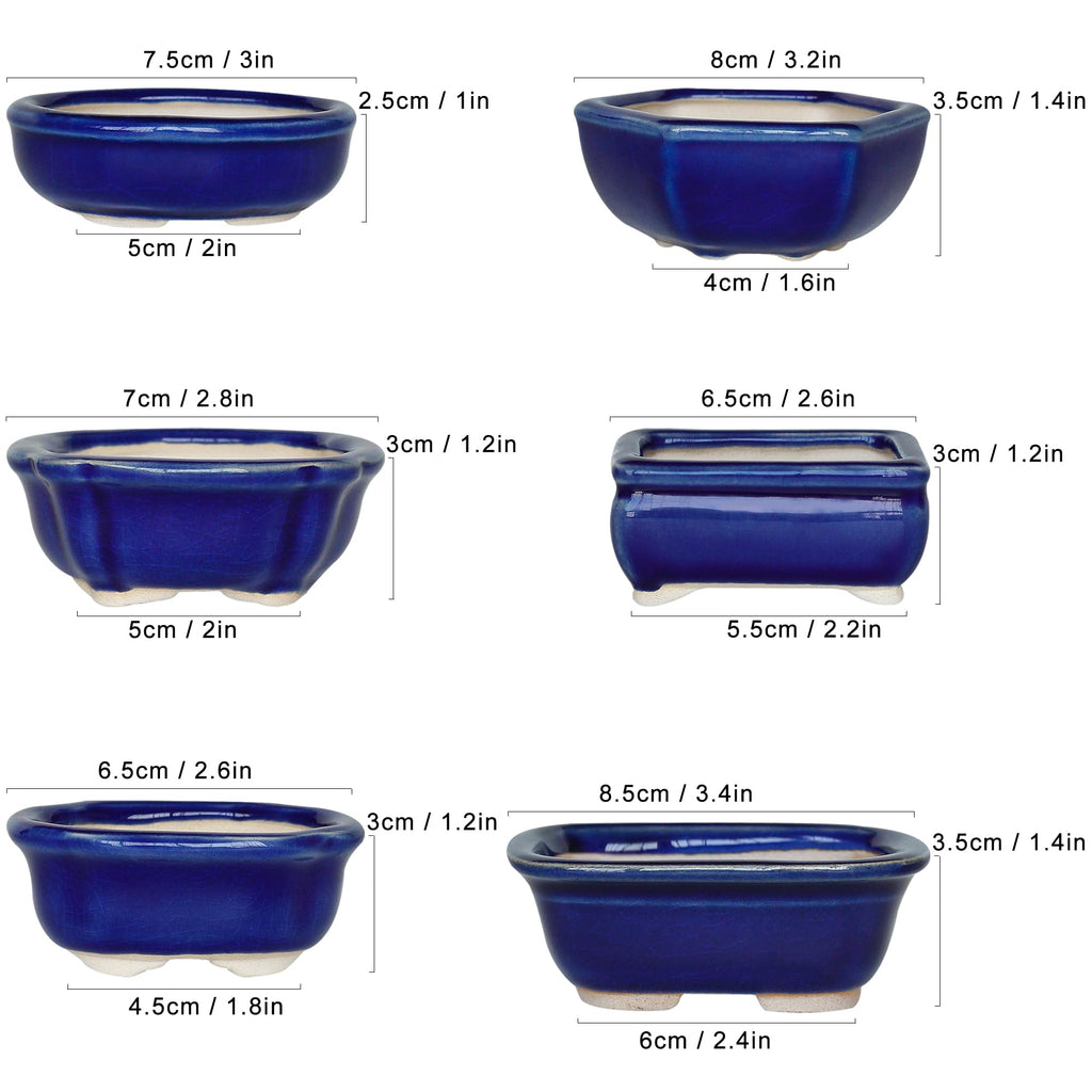 Happy Bonsai Planter Succulent 6 pc Mini Glazed Pots Value Set + 6 Drainage Screens