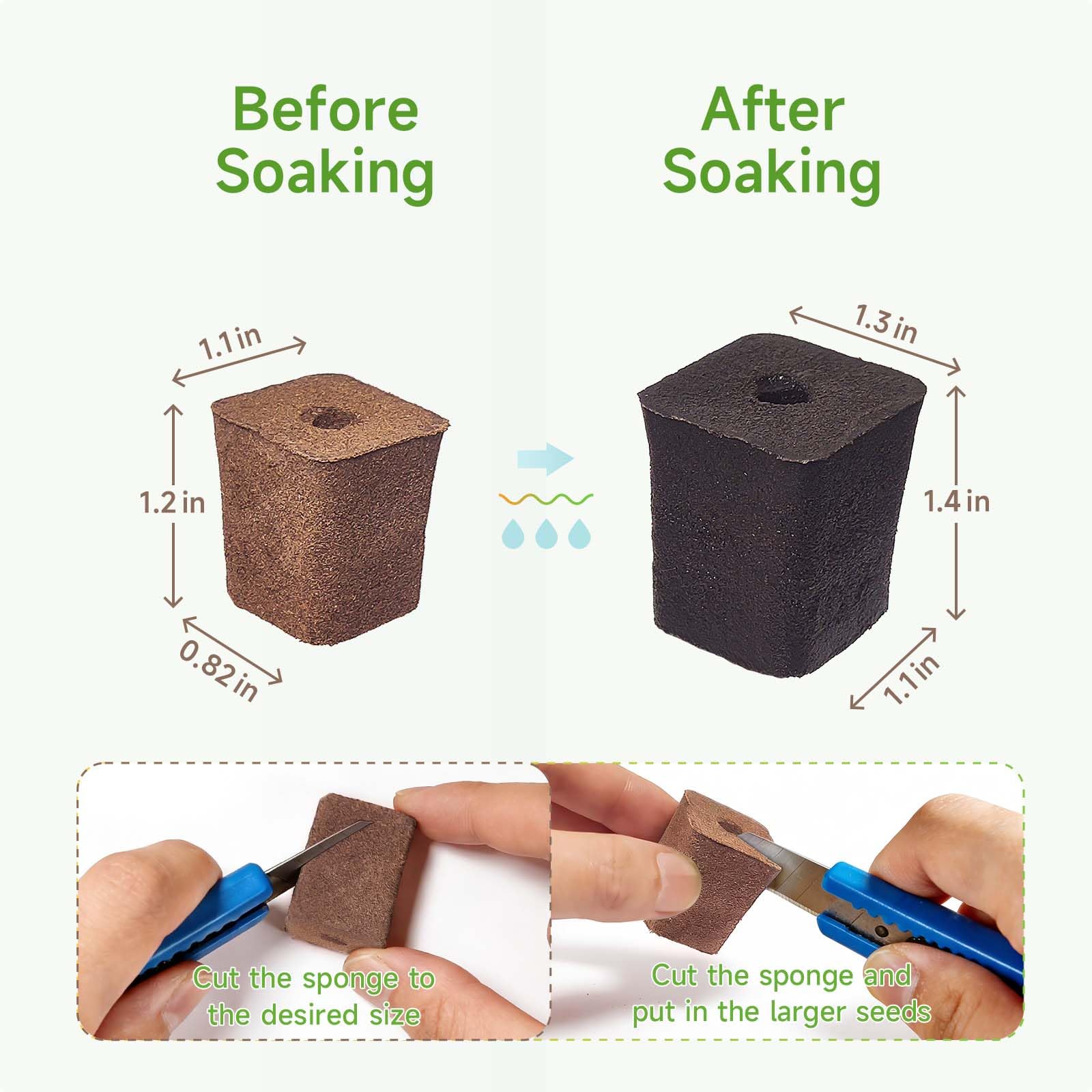 SIETAMIS 50 Pack Grow Sponges Square Sponge Replacement Part Seedling Starter Sponges for Hydroponic Indoor Garden System Cuttage Rooting Germination Kits