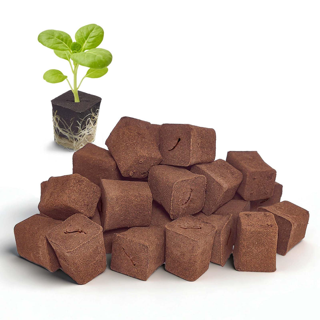 SIETAMIS 50 Packs Cuttage Grow Sponges, Pods Root Growth Sponge Eco Friendly PH Balance, Square Sponge Replacement Part Seedling Starter Sponges for Hydroponic Indoor Garden System Cuttage Rooting