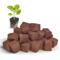 SIETAMIS 50 Packs Cuttage Grow Sponges, Pods Root Growth Sponge Eco Friendly PH Balance, Square Sponge Replacement Part Seedling Starter Sponges for Hydroponic Indoor Garden System Cuttage Rooting