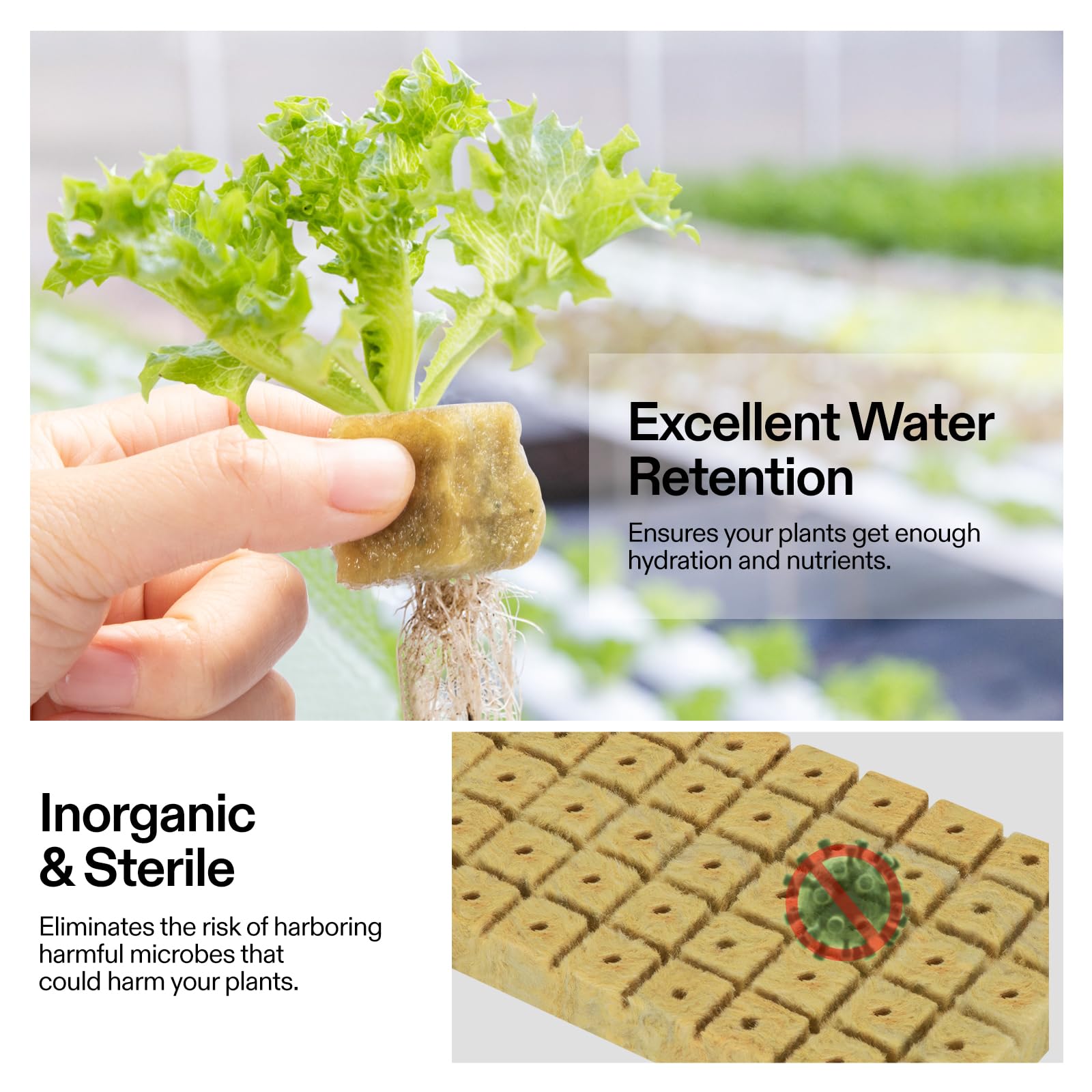 VIVOSUN 1" Rockwool Cubes, 200 Plugs Stonewool Starter Grow Cubes for Cuttings, Cloning, Plant Propagation, Seed Starting, Hydroponic Grow Media for Vigorous Plant Growth