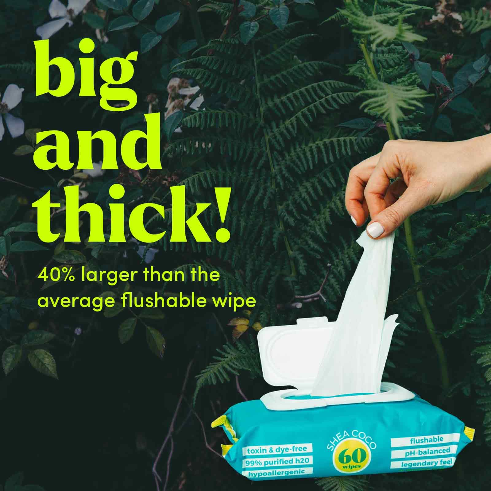 Down There Flushable Feminine Cleansing Wipes | Shea-Coco | 60 Count | 3 Pack | pH-Balanced Alcohol-Free paraben Free Hypoallergenic Safe for Sensitive Skin