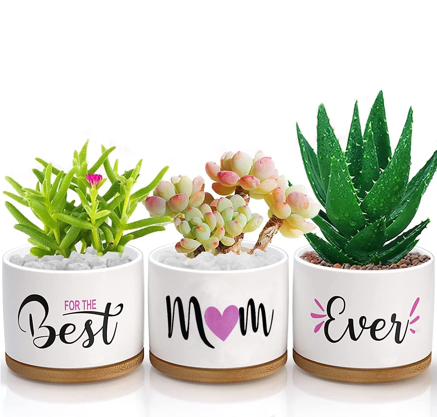 Best Mom Ever Gifts, Best Gifts for Mum from Daughter Son Kids Unique, Best Mom Ever Succulent Pots for Plants Indoor Ceramic Planter, Gift Boxed Birthday