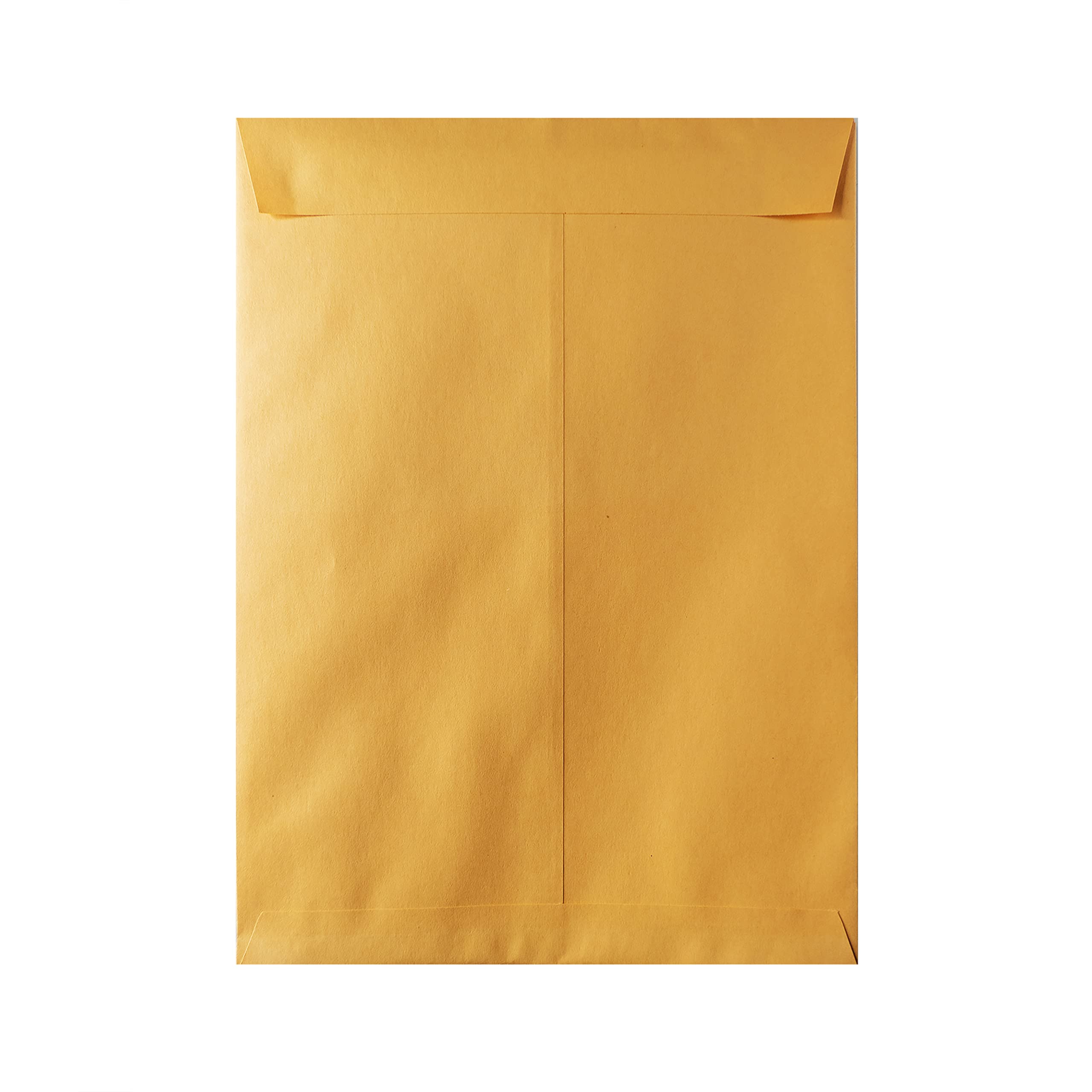 Hilroy Kraft Envelopes, 9" x 12", 100-Count, Gummed Flap (76146)