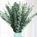 20 Pcs Preserved Dried Eucalyptus Stems, 17" Natural Fresh Eucalyptus Bundles for Shower, Real Plant for Vase Filler, Dried Flowers Arrangement, Home Decor