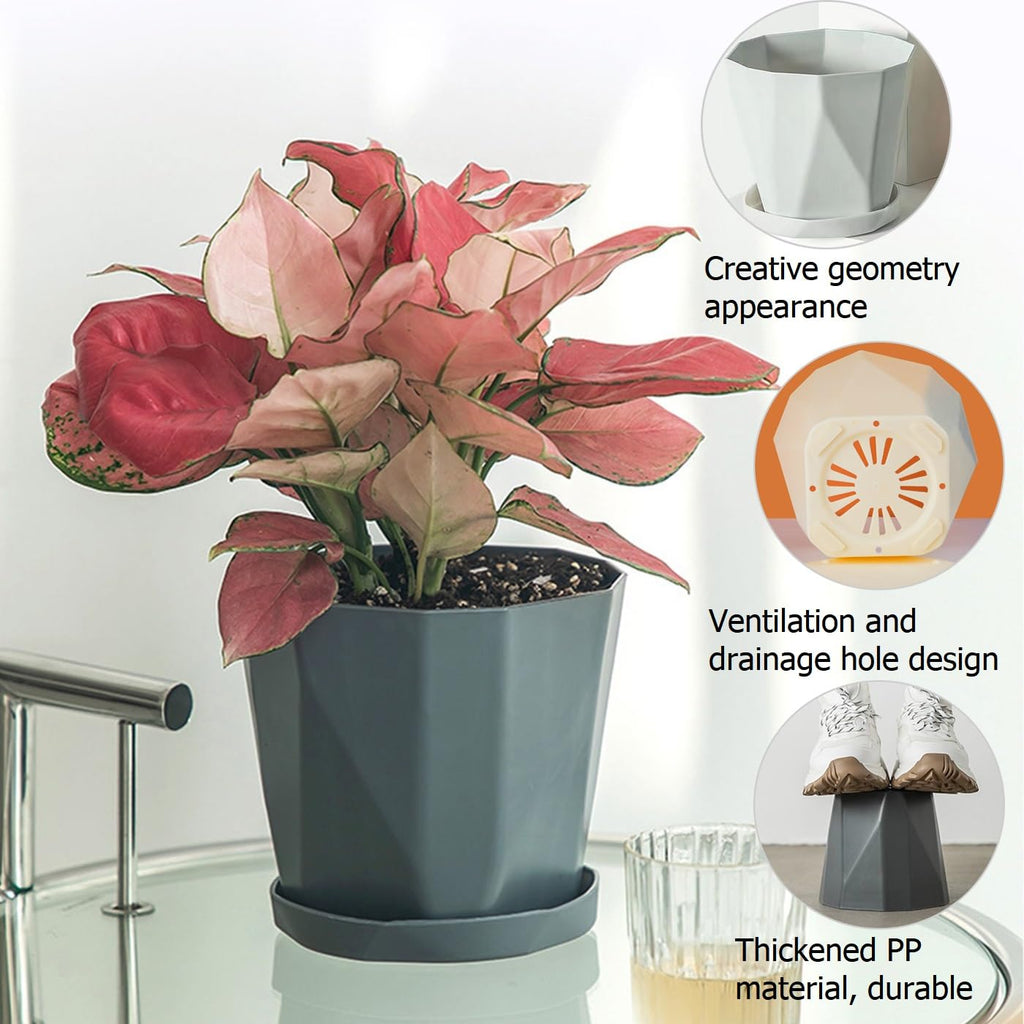 XINHUISHQZ 5 Inch Plant Pots, 6 Pack Plastic Planters Modern Flower Pot with Drainage Holes and Saucers for All House Plants, Herbs, Flowers and Seeding Nursery (5inch-6pcs)