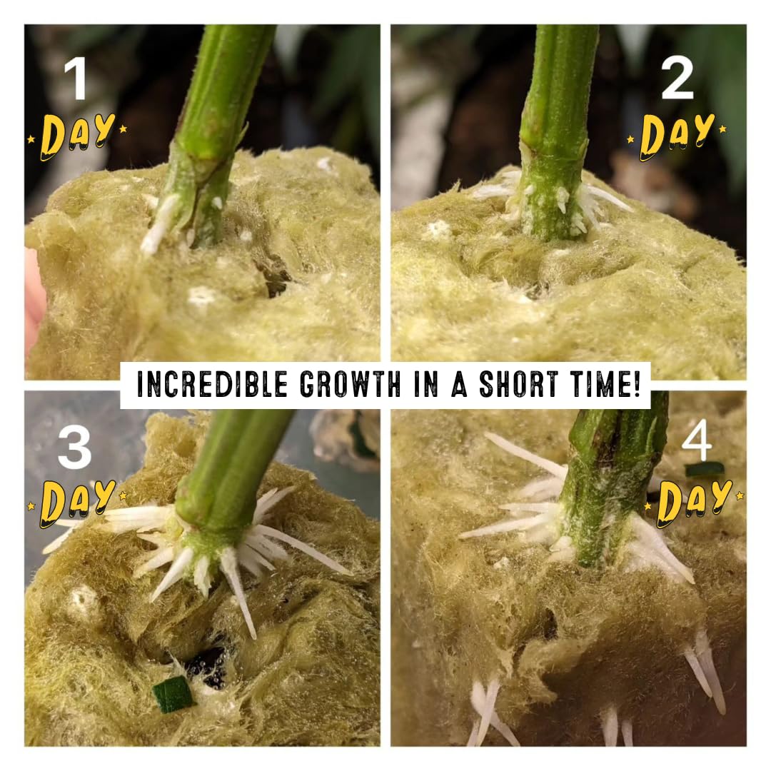 Green Rush Nutrients Root Rush Rooting Powder for Cuttings & Clones - Cloning and Rooting Hormone for All Plants (50g)