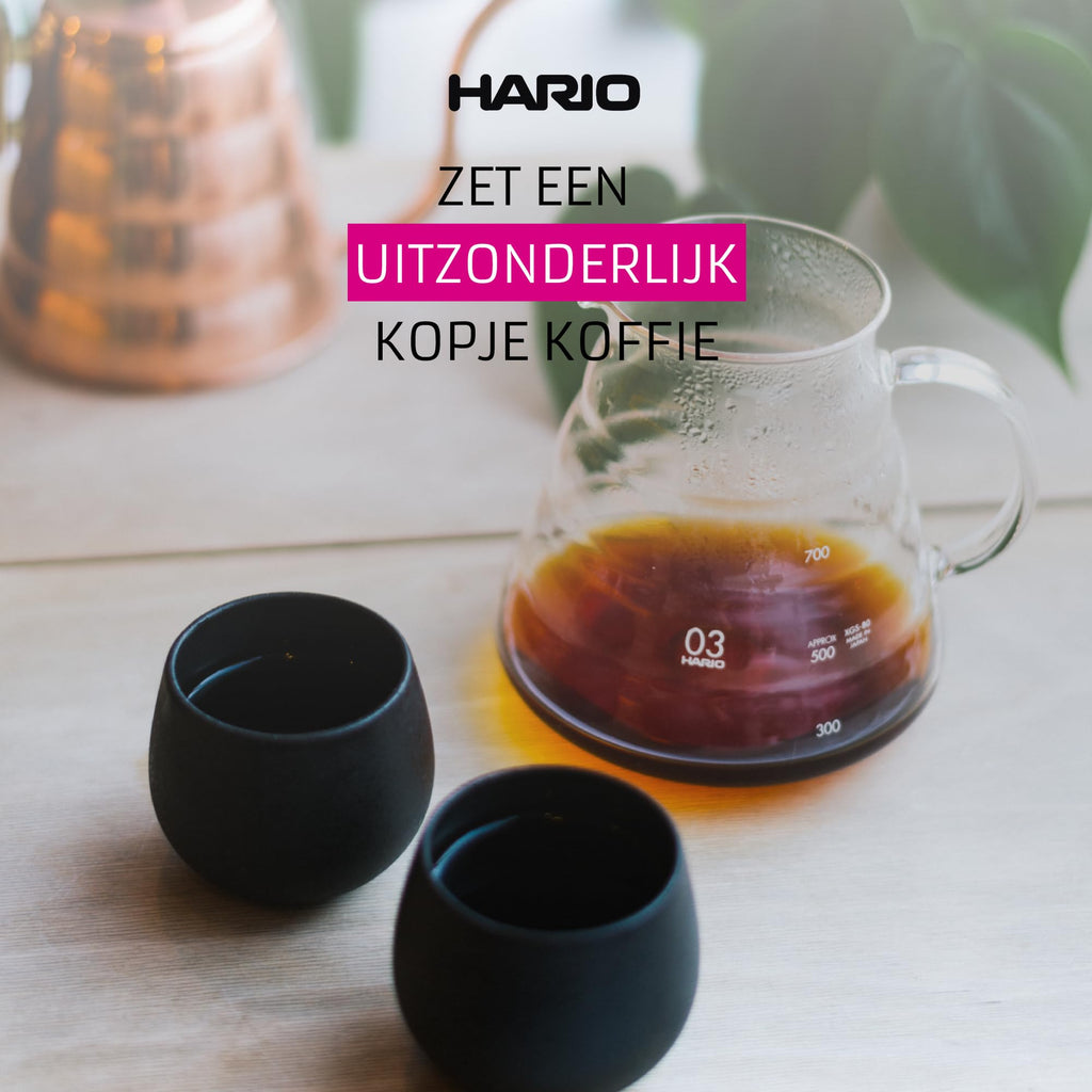 Hario V60 Clear Glass Range Server, 800ml