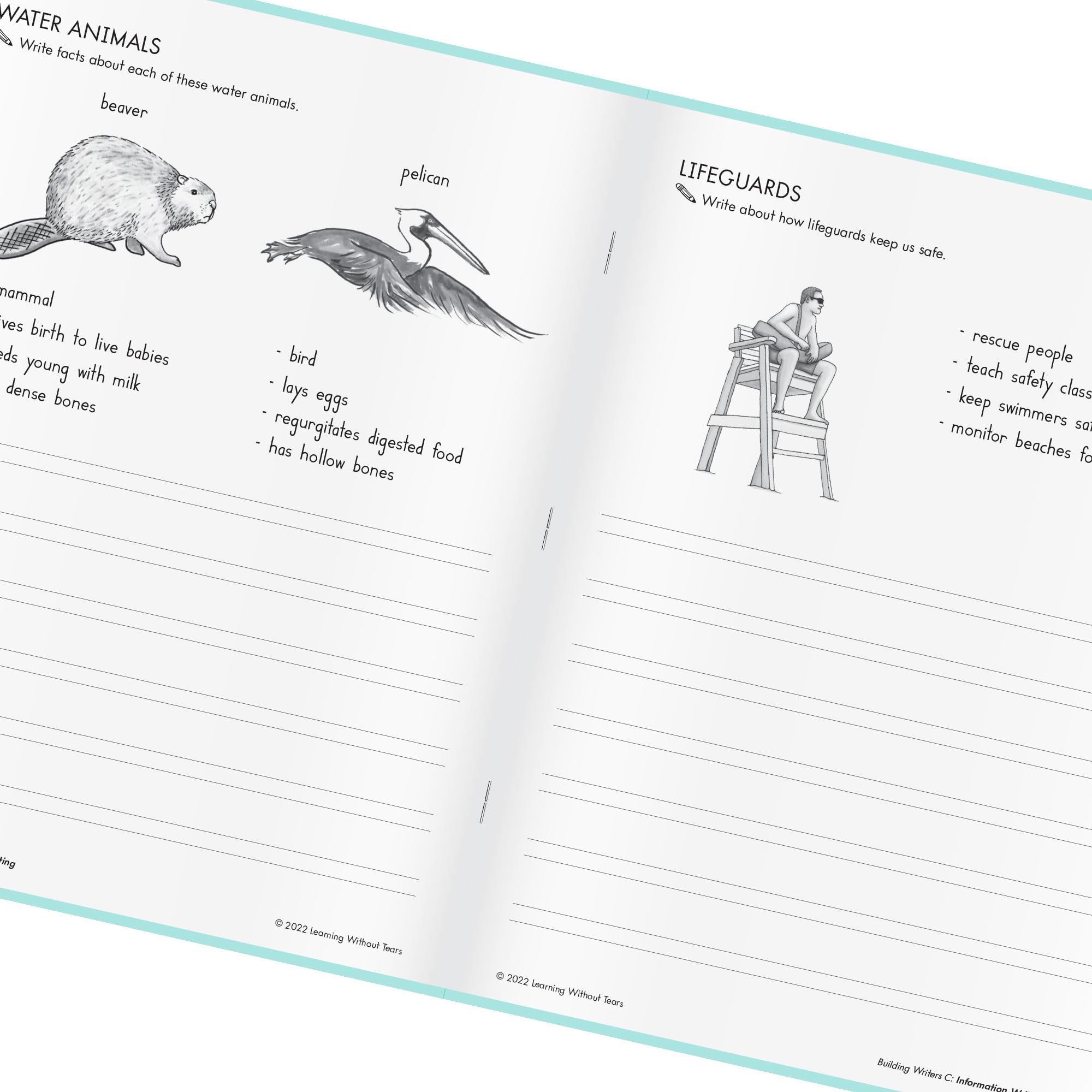 Learning Without Tears Building Writers, Student Edition- Grade 2, Writing Skills in Narrative, Information, Opinion Style, Writing Fluency- Independent Writing or Whole Class- For School and Home Use
