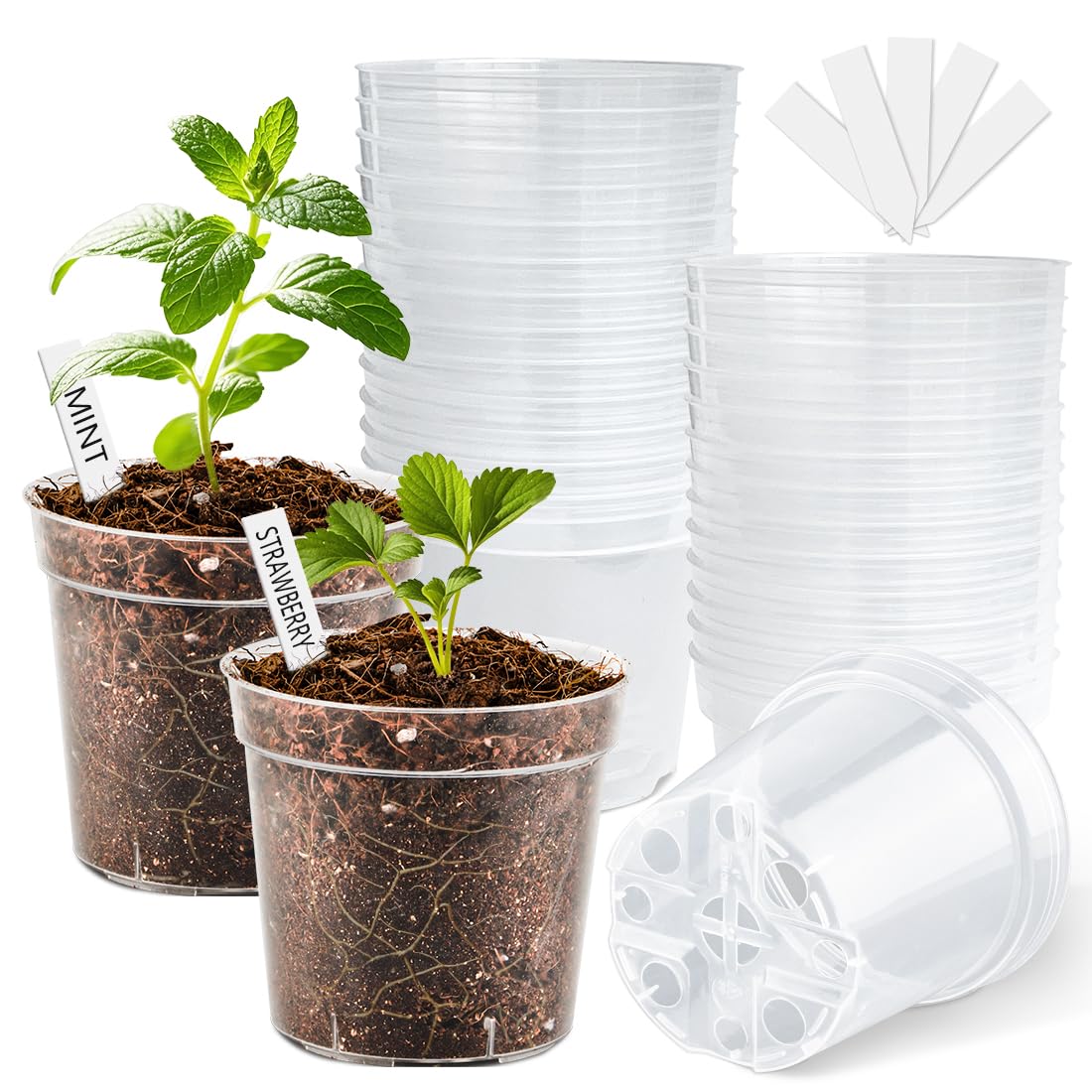 BTPLASTIK Clear Nursery Pots with Drainage Holes (Clear, 4 Inch-30P)