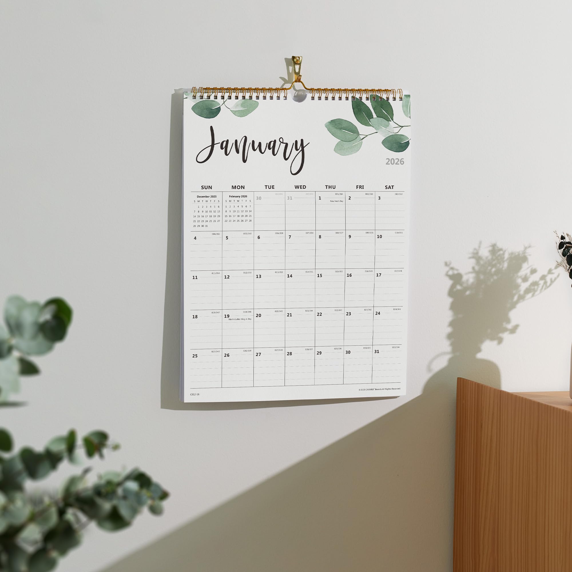 2026 Wall Calendar, Monthly Wall Calendar 2026 Runs from January 2026 to June 2027, Perfect for Home Schooling Plan, Daily Blocks, Premium Wall Calendar for Organizing,15 x 12 Inches
