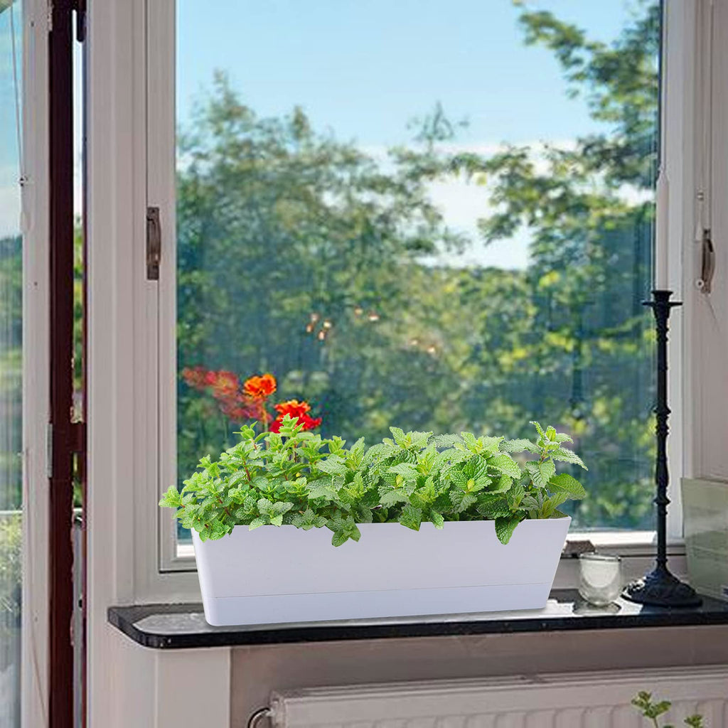 Large Window Boxes Planters, GREANER 1PCS 16x3.8 Inch White Vegetable Herb Planters with Tray, Indoor Succulent Cactus Flowers Plastic Rectangle Pot for Balcony, Office, Garden, Outdoor, Windowsill