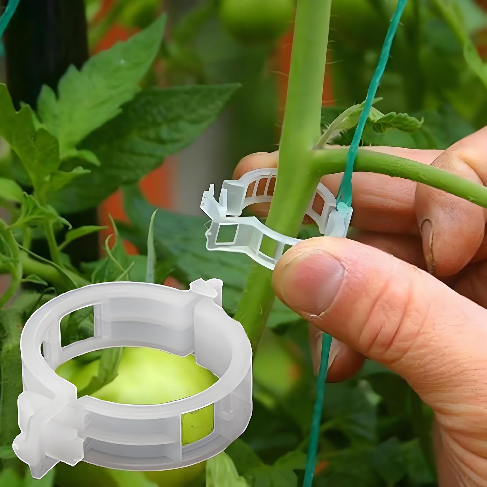 VASLON 300PCS Tomato Clips, Garden Plant Support Clips for Tomatoes, Vines, Flowers, Vegetables, Climbing Plants to Grow Upright and Healthier (White)