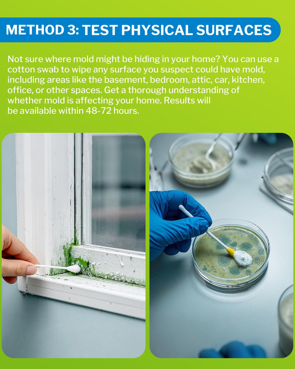 Mold Test Kit for Home - DIY Mold Test Kit for Indoor Air and Household Surface Detection, Includes Detailed Mold Identification Guide and Free Lab Analysis - 6 Detection Tests
