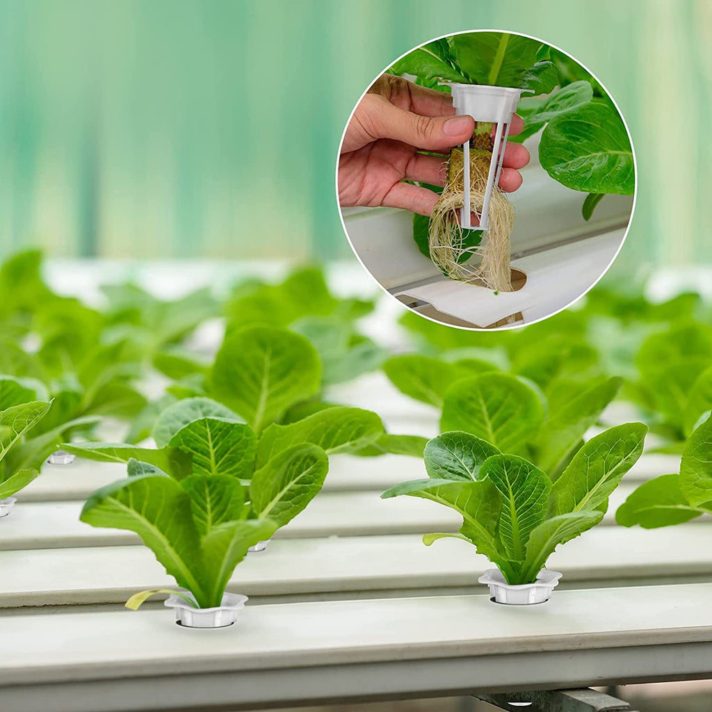 50PCS Grow Baskets Fit AeroGarden Replacement Grow Basket Plant Pod for Grow Sponges Basket Compatible with Hydroponic Growing SystemPlant Growing Containers for Hydroponic, 50 Pack