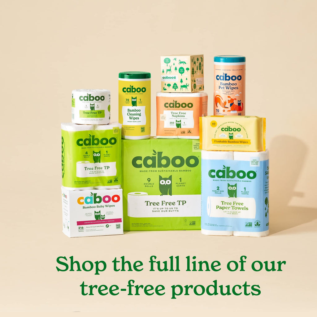 Caboo Tree-Free Toilet Paper, Septic Safe Bath Tissue, Eco Friendly Soft 2 Ply Sheets, 300 Sheets Per Roll, 16 Double Rolls
