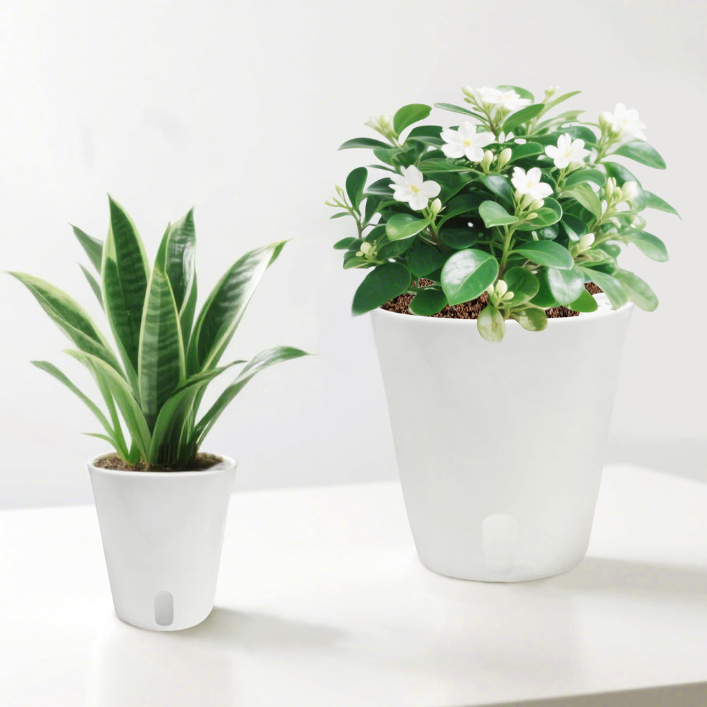 10 Pack 3 inch Self Watering Pots for Indoor Plants, Small Self Watering Plant Pots with Water Level Indicator and Multiple Vents, Self Watering Planters for Indoor Plants, Orchid, Succulent, Herbs