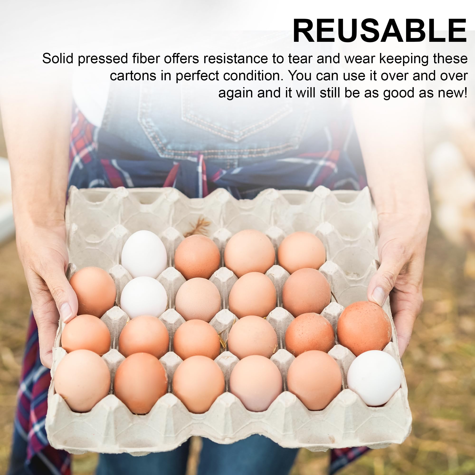 MT Products Egg Crate - (15 Pieces) for Storing up to 30 Large or Small Eggs - Pulp Fiber Egg Flat Cartons That Make a Great Home for Roach Colony - Made in the USA