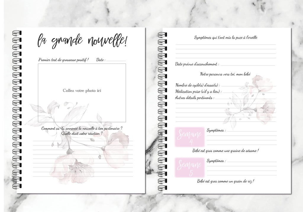 Journal De Grossesse (en français)