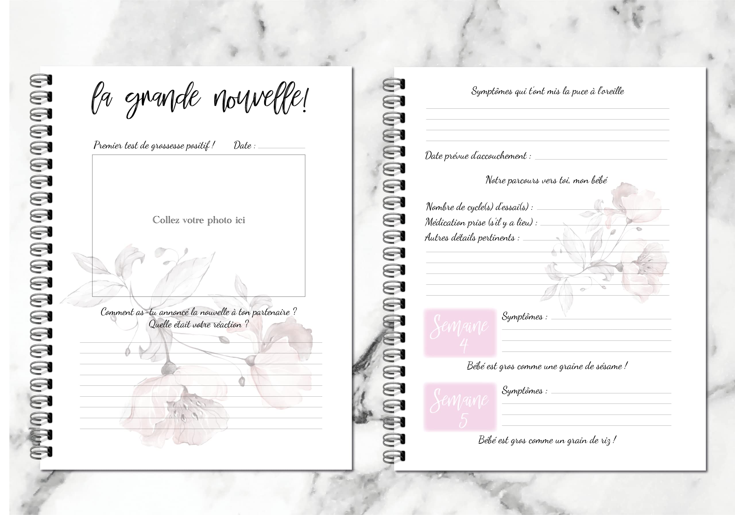 Journal De Grossesse (en français)