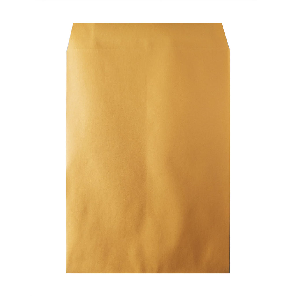 Hilroy Kraft Envelopes, 9" x 12", 100-Count, Gummed Flap (76146)