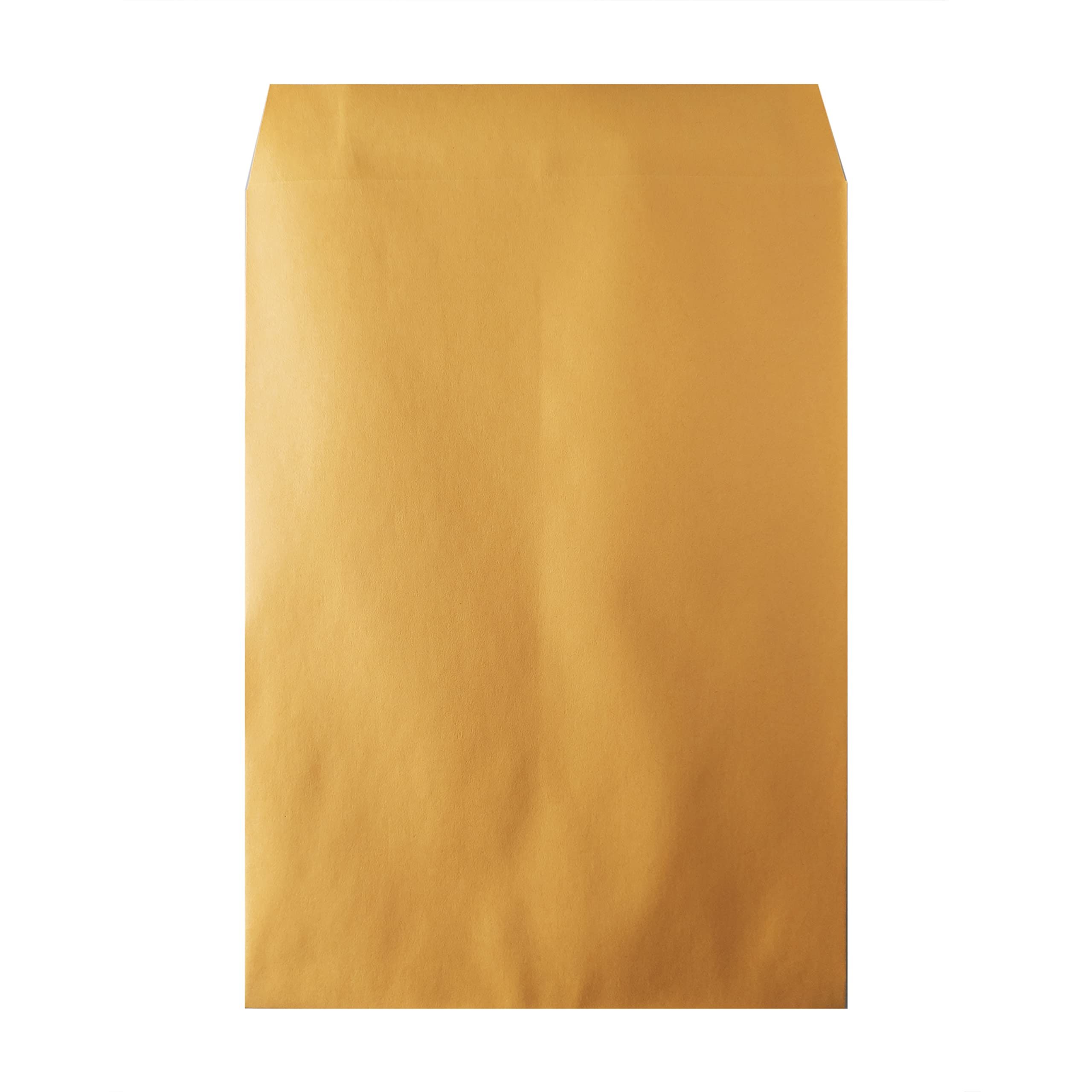 Hilroy Kraft Envelopes, 9" x 12", 100-Count, Gummed Flap (76146)