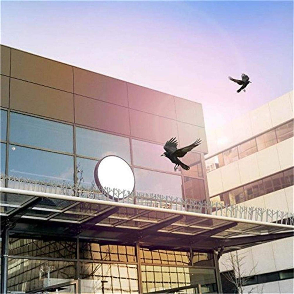 ASPECTEK Polycarbonate Bird Spikes with Adhesive Glue for Ledges and Surfaces, 10-Foot Kit