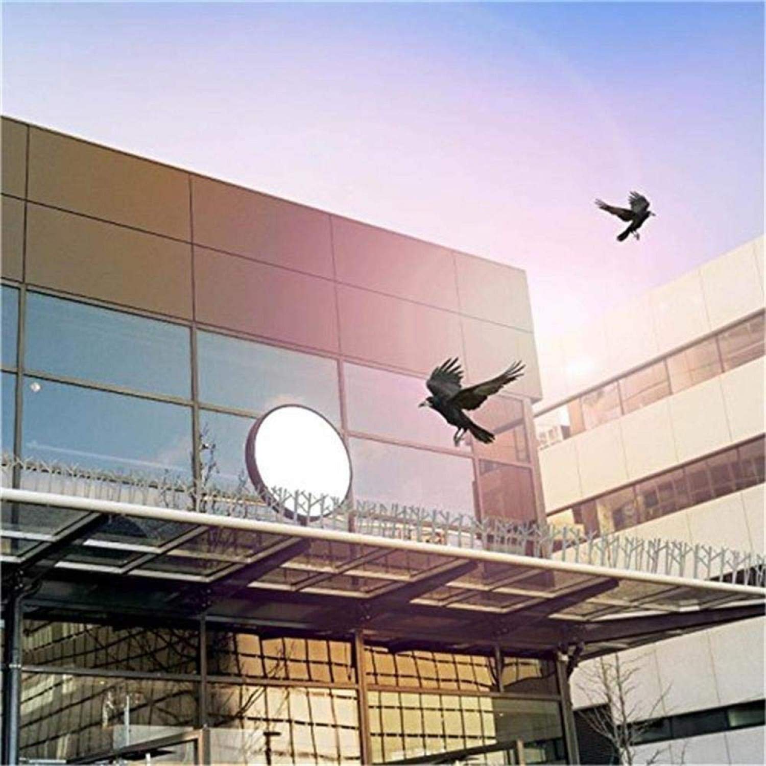 ASPECTEK Polycarbonate Bird Spikes with Adhesive Glue for Ledges and Surfaces, 10-Foot Kit