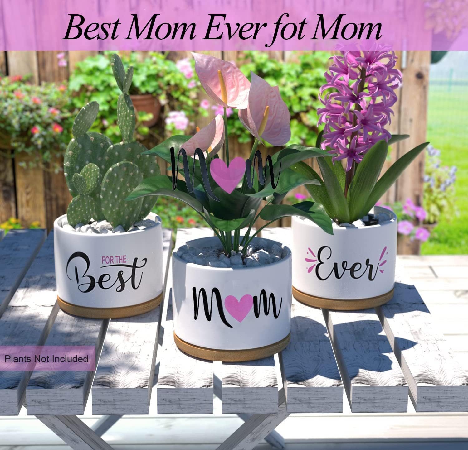 Best Mom Ever Gifts, Best Gifts for Mum from Daughter Son Kids Unique, Best Mom Ever Succulent Pots for Plants Indoor Ceramic Planter, Gift Boxed Birthday