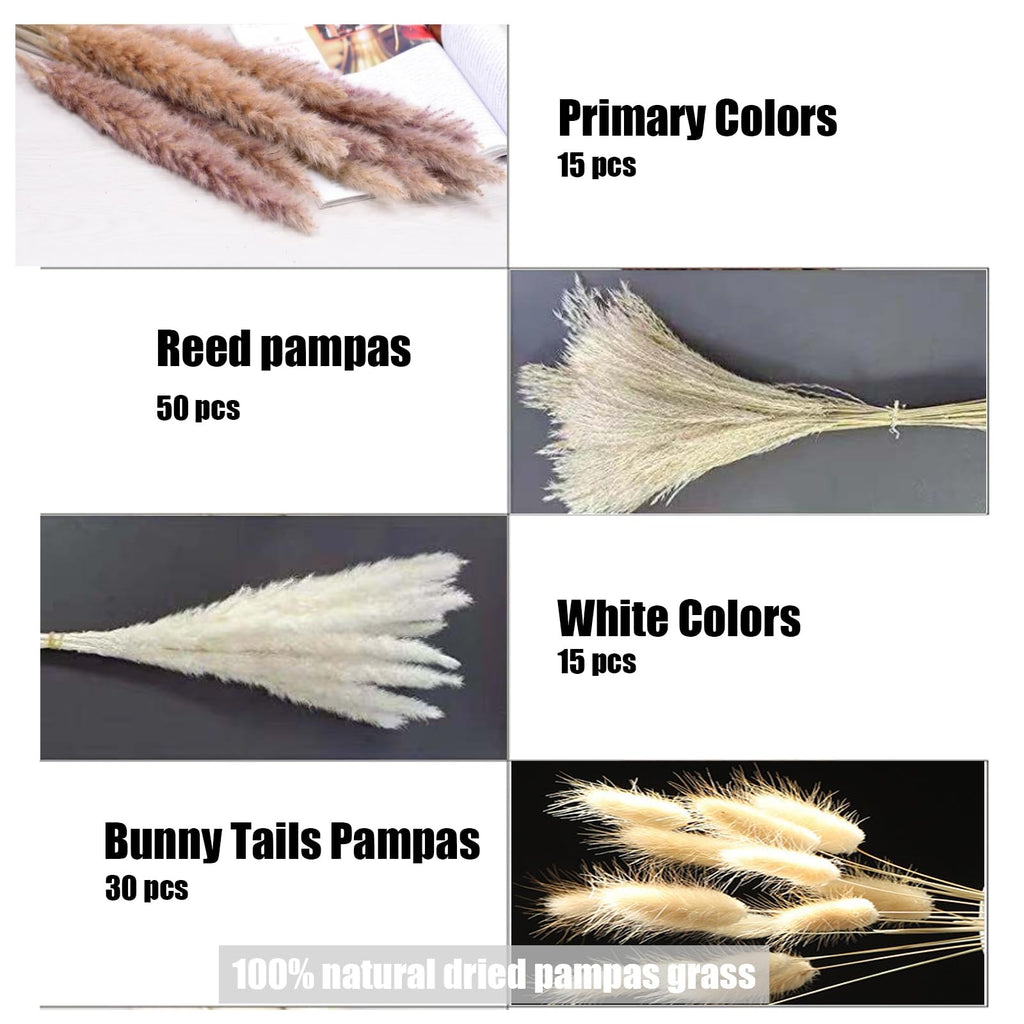 Pampas Grass Decor 110 pcs 17.5 inch Natural Dry Pampas - 15 Pcs White Pampas & 15 Pcs Brown Pampas & 50 Pcs Reed Grass & 30 Pcs Bunny Tail Grass,Fluffy Dried Flowers for Wedding Boho Decor Home Decor