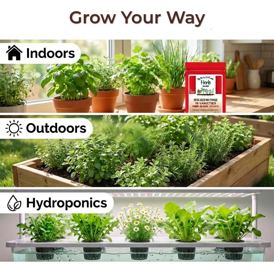 Heirloom Herb Seeds Canada – 10 Variety Pack – Indoor, Outdoor, Hydroponic Gardens – Non-GMO Kit – Graines d’herbes – Oh! Canada Seeds – Gift for Gardeners