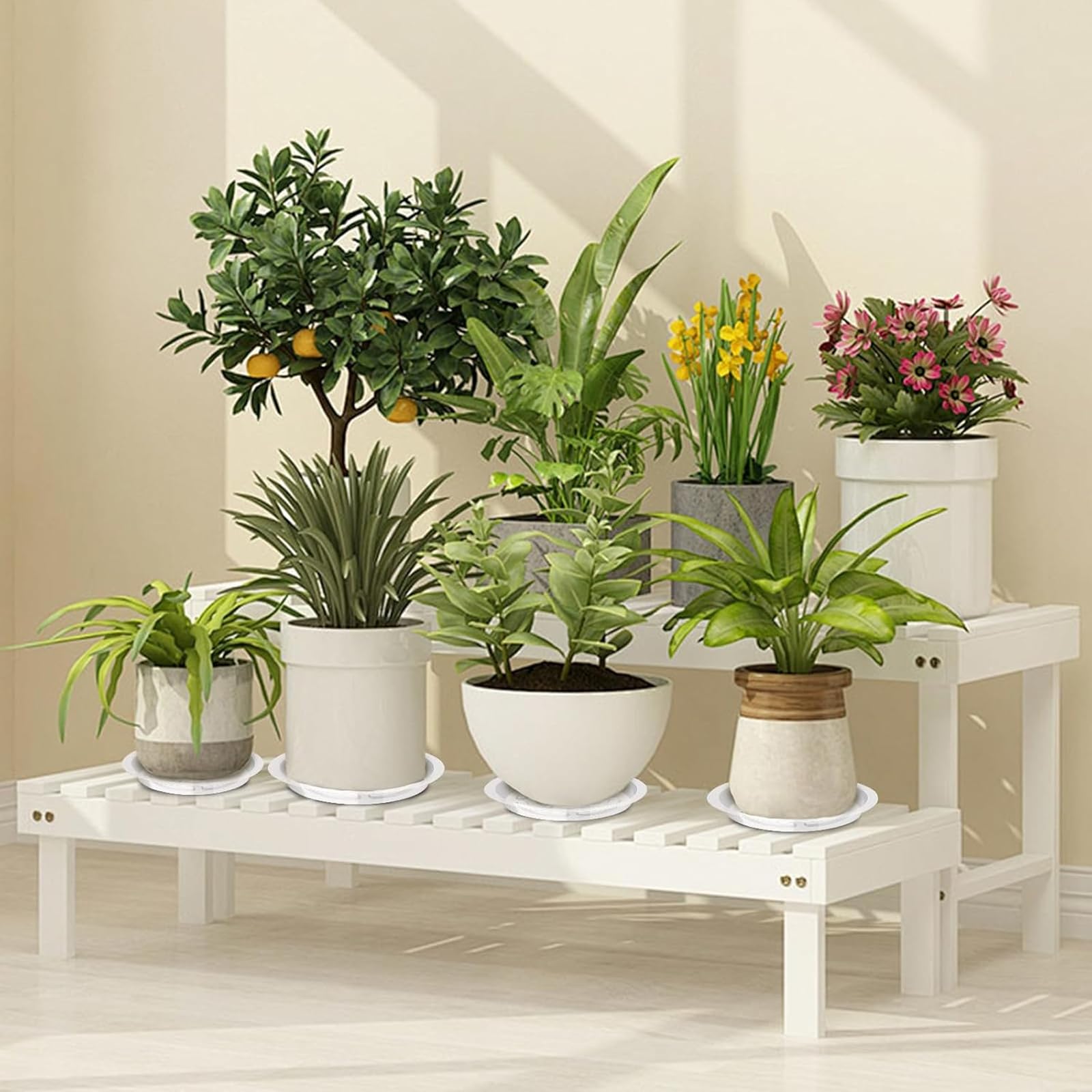 Voittozege 50 Pcs Clear Plant Saucers, 6 Inch Clear Plastic Plant Pot Saucer Flower Water Tray, Round Small Plant Plate for Garden Potted Water Drips Indoor and Outdoor