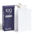 Columbian Catalog Envelopes, 6 x 9, Release & Seal Self-Sealing Closure, 28 lb White Wove, 100 per Box (COLO652)