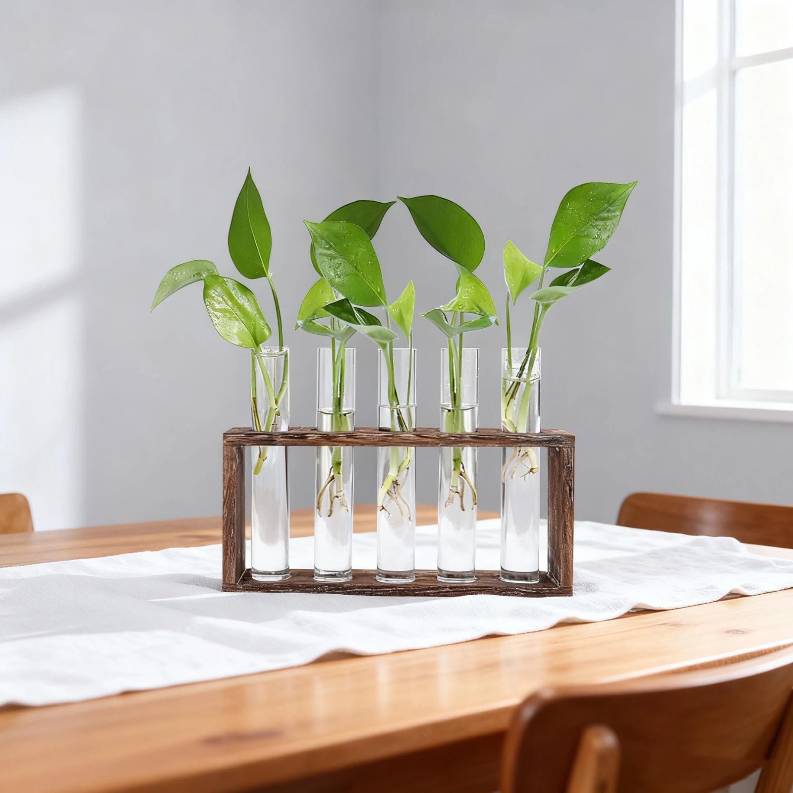 Jucoan Glass Planter Propagation Station, Wall Hanging Plant Terrarium with Wooden Stand, Glass Test Tube Flowers Bud Vase for Hydroponic Plants, Home Office Decor (5 Test Tubes &1 Brush)