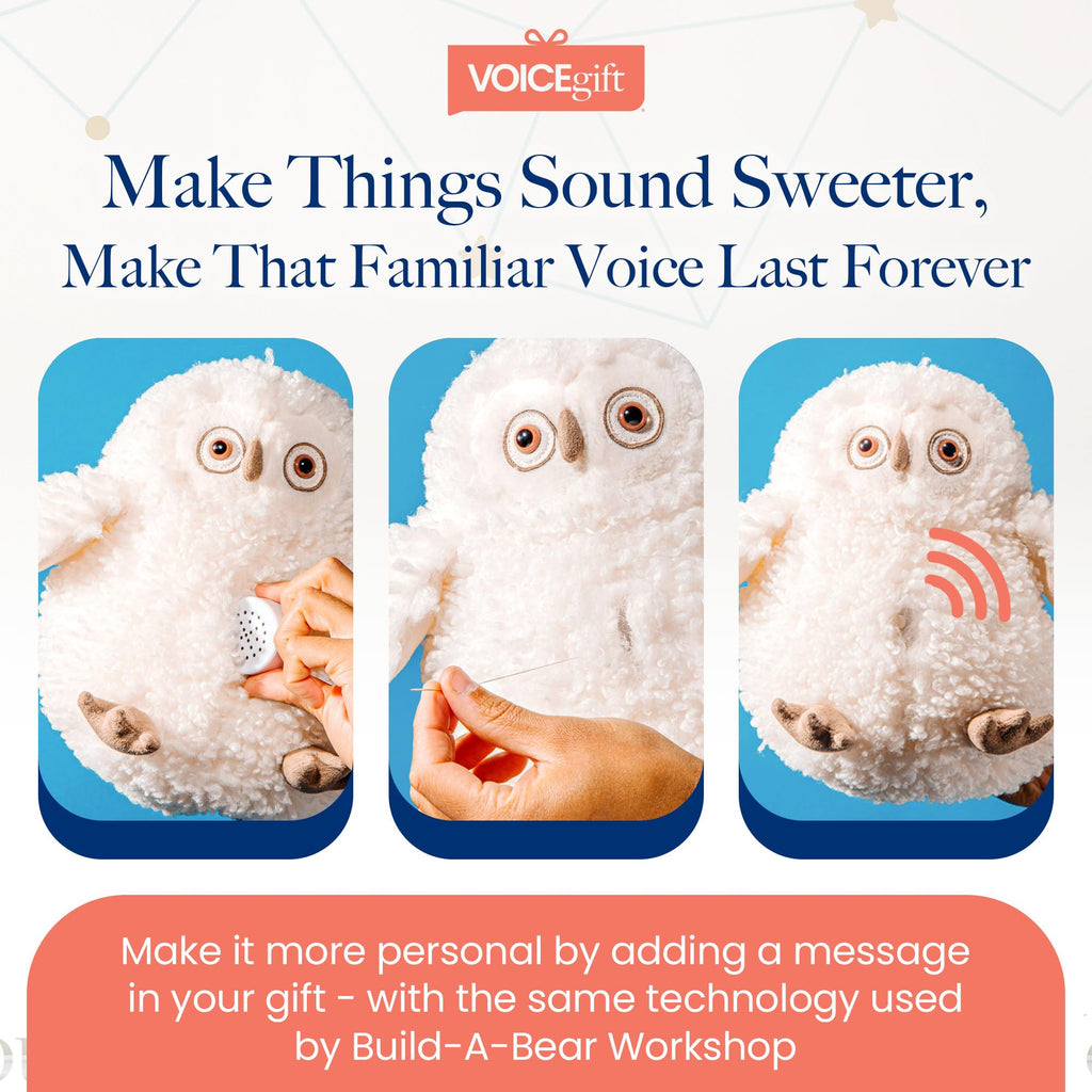 VoiceGift Mini-Me®, Mini Recorder Device, Bring Plush Toys, Quilts & Crafts to Life with 60-Second Custom Audio Recording for Customizable Sound Gifting & Crafting, 2-Pack