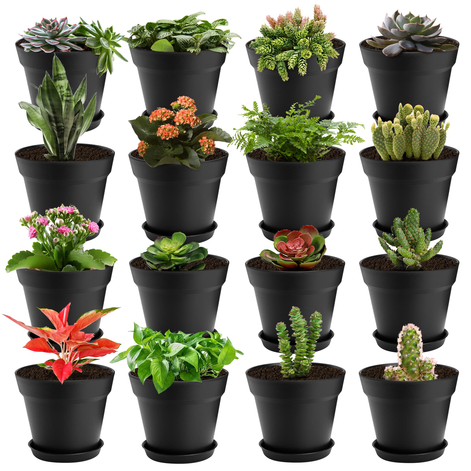 FHWTY 4 inch Plastic Plant Pots with Drainage Holes and Tray, 16 Pack Thickened Indoor Planters Seedlings Nursery Pots for Flowers, African Violet, Succulent and All House Plants, Black